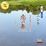 特別栽培米 恋の舞 ササニシキ にかほ 玄米 30kg