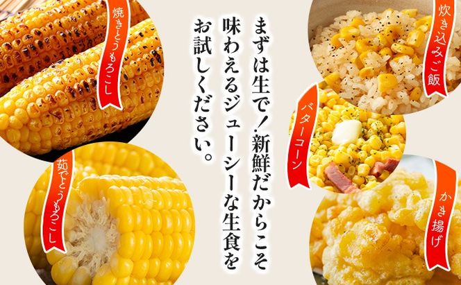 ＜2026年7月中旬〜順次お届け＞ スイートコーン・恵味（2Lサイズ）【dnk-003】とうもろこし コーン スイートコーン 野菜 伊達野菜 サラダ 北海道 伊達市