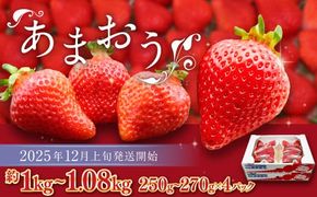 博多あまおう（冬） 約250g～270g×4パック 計約1kg～1.08kg【2025年12月上旬-2026年1月下旬発送予定】 いちご 苺 イチゴ 果物 フルーツ