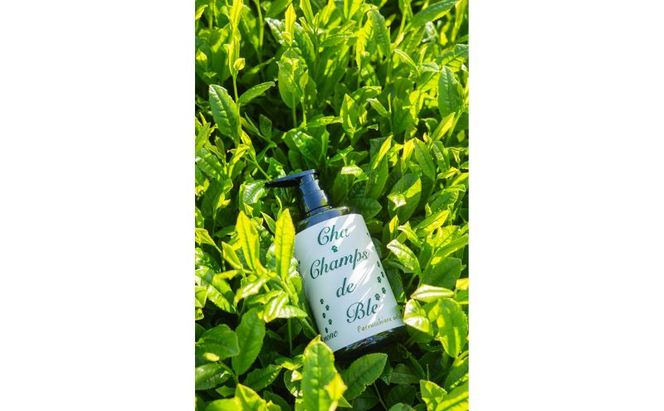 チャ・シャンドブレ　シャンプー 500ml アミノ酸系 緑茶由来成分 コンディショニング成分 すっきり ふんわり 軽やか ツヤ なめらか まとまり 岐阜県 海津市