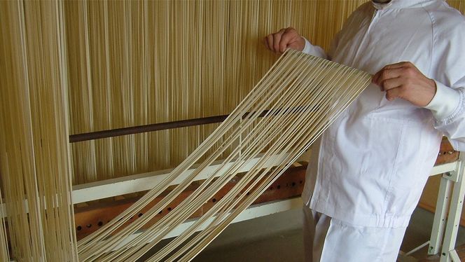 手延べうどん 半生手なえ 6袋 ( 12人前 ) 麺 めん 半生 [BE009ci]