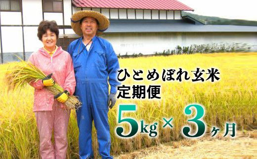 【3ヶ月定期便】減農薬栽培 ひとめぼれ玄米5kg 【1108】