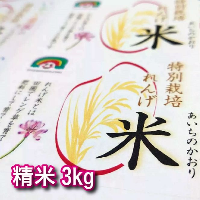 特別栽培れんげ米 日進市産 あいちのかおり 3kg × 1袋 米 白米 精米 特別栽培米 コメ お米 おこめ 愛知 愛知県 日進市