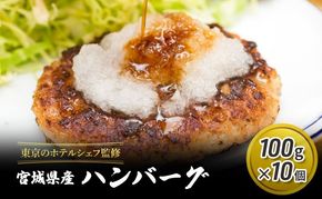 ハンバーグ 100g 10個 セット 詰め合わせ 冷凍ハンバーグ