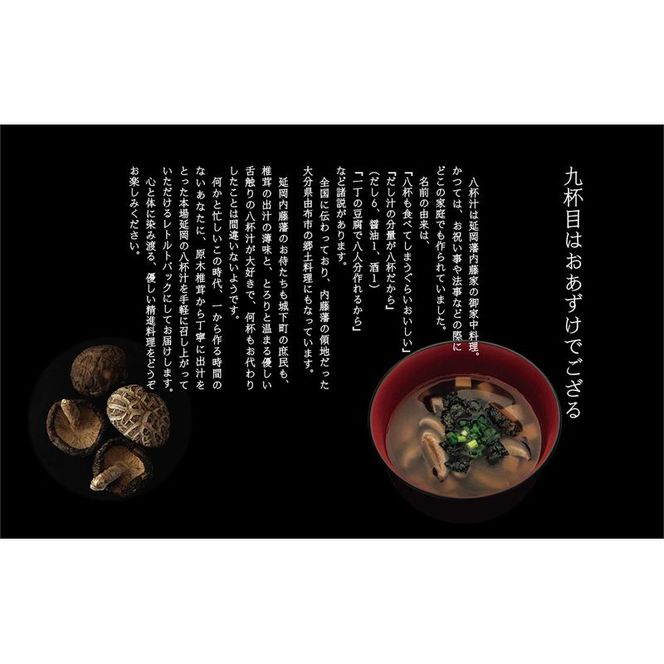 のべおか八杯汁　N090-YZA523