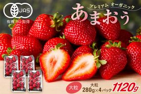 【先行予約】オーガニックあまおう 「いせいちご」 おまかせ4パック（大粒）【伊世いちご畑】_HA1019