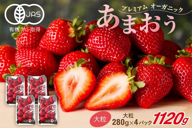 【先行予約】オーガニックあまおう 「いせいちご」 おまかせ4パック（大粒）【伊世いちご畑】_HA1019