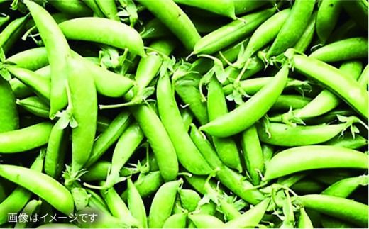 【 全6回 定期便 】 【 福岡県 糸島産 】 朝採れ 野菜 セット ( 8品 前後 )  《糸島》【オーガニックナガミツファーム】 	[AGE009]