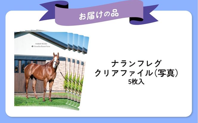 【ナランフレグ】クリアファイル5枚入り BRTV354