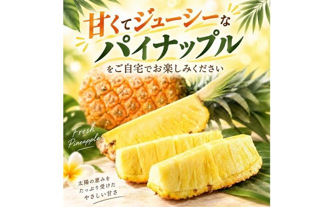 【先行予約】【訳あり】岐阜県瑞穂市のオジイ パイナップル 2kg | パイナップル パイン フルーツ 果物 果実 完熟 ジューシー デザート 訳あり 人気 岐阜 瑞穂市 産地直送 送料無料 ※2027年7月～発送
