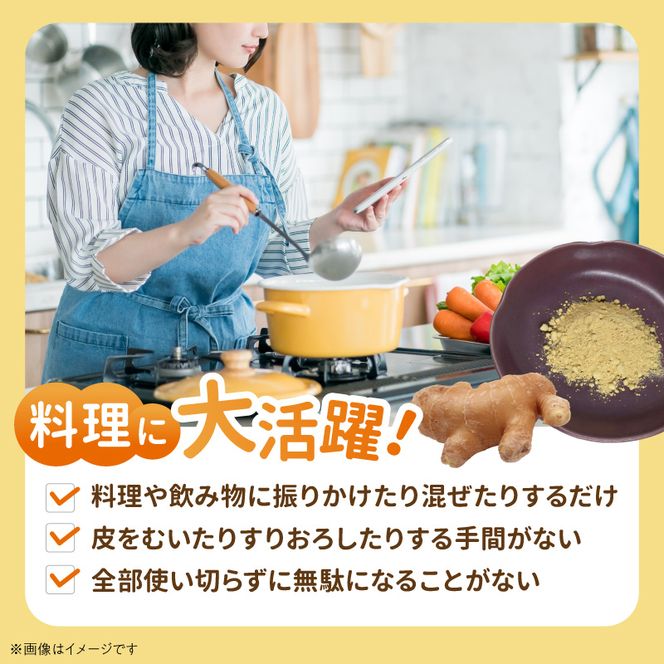 しょうが 粉末 N048-YA0494