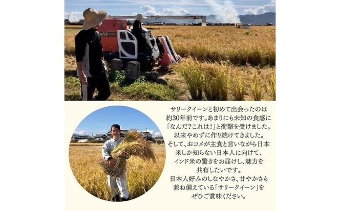 令和7年産 サリークイーン2.5kg 香り米 米 こめ　 [№5735-3480]