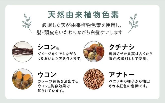 リシリアフレル カラーシャンプー 専用ボトル+詰め替え用パウチセット 糸島市 / 株式会社ピュール シャンプー 白髪染め[AZA170]