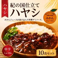 紀の国仕立てハヤシ 10食 1人前180g (A226-1)