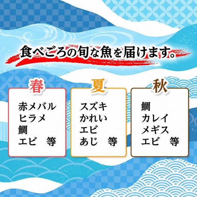 【 年3回 定期便 冷蔵 クール便 】にかほ市の海を自宅で堪能！ 鮮魚詰め合わせセット 3～4人前 「12月～3月配送対象外」【 下処理済み 鮮魚セット 象潟 海産物 海鮮 海の幸 秋田 にかほ 】