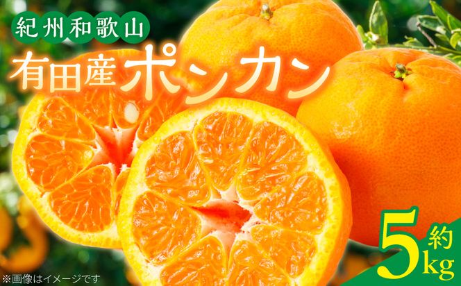 G7055_【2027年先行予約】紀州和歌山有田産 ポンカン 5kg
