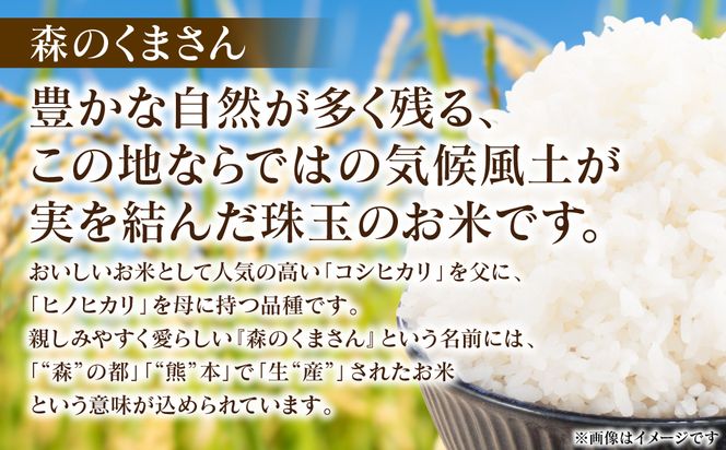 《令和7年産》 森のくまさん 5kg×1袋 米 お米 精米 白米 ごはん ご飯 おにぎり お弁当 熊本県 八代市