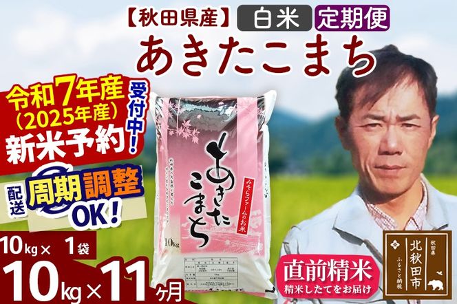 ※令和7年産 新米予約※《定期便11ヶ月》秋田県産 あきたこまち 10kg【白米】(10kg袋) 2025年産 お届け周期調整可能 隔月に調整OK お米 みそらファーム|msrf-10611