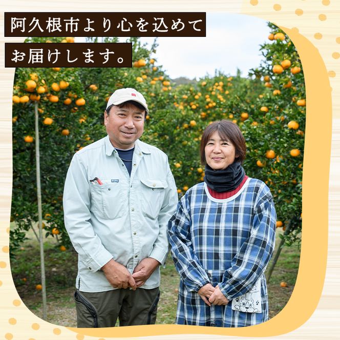 訳あり！紅甘夏(10kg) 国産 紅甘夏 柑橘 果物 フルーツ デザート 果実 期間限定 数量限定 【古田果樹園】akn093-04