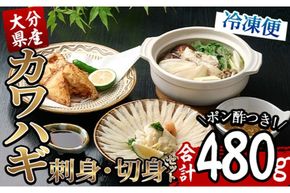カワハギ 刺身・切身セット(刺身30g×2皿、肝・身皮10g×2皿、切身200g×2袋、ポン酢4個) カワハギ かわはぎ 切り身 ポン酢 ぽん酢 鮮魚 冷凍 養殖 国産 大分県 佐伯市 フジテレビ ノンストップ いただき！ハウマッチ【GO003】【(株)水元】
