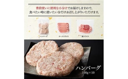 「まるみ豚」宮崎県産豚肉　ハンバーグ・精肉セット　計1.6kg 【 豚肉 豚 肉 国産 川南町 ハンバーグ 精肉 】[D11511]