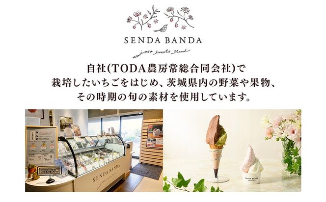 SENDA BANDA ジェラート詰め合わせ＜80ml×6個＞