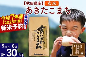 ※令和7年産 新米予約※秋田県産 あきたこまち 30kg【玄米】(5kg小分け袋)【1回のみお届け】2025産 お米 藤岡農産|foap-21001