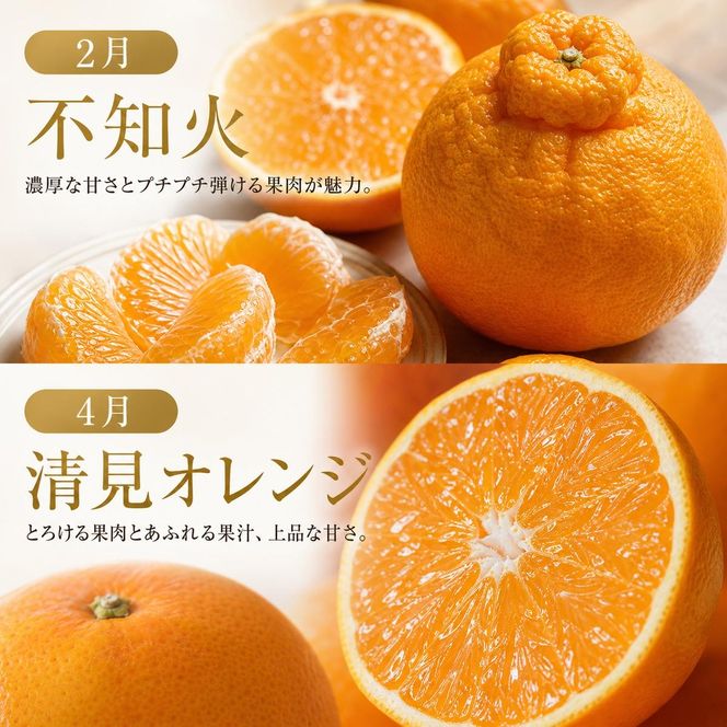 〈定期便〉【2・4・6・8・10・12月 全6回】和歌山産 旬のフルーツ お楽しみ 定期便 【魚鶴】◆｜不知火 清見 スイカ 桃 みかん フルーツ ふるーつ 果物 くだもの 詰め合わせ 果物定期便 オレンジ もも かき 国産 産地直送 美浜町