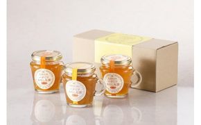 ハチミツおろし生姜 と ハチミツおろし生姜レモン