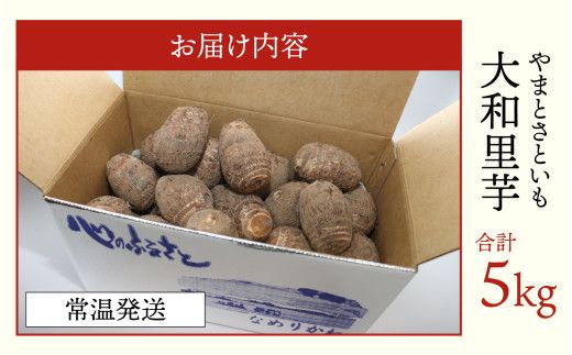 【先行予約】さといも 大和里芋（やまと）5kg【2026年11月中旬より順次発送予定】 | 野菜 芋 イモ 根菜 いも 煮物 旬 味覚 秋