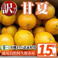 訳あり！有機JAS 甘夏(約15kg) 国産 果実 果物 フルーツ 柑橘 デザート 訳アリ 期間限定 有機栽培 【中村農場】akn084-08