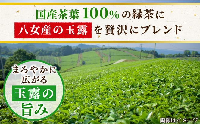 八女 玉露入り 緑茶 500ml × 24本 糸島市 / スターナイン お茶 ペットボトル [ARM004] お茶 ペットボトル 500ml 24本 緑茶 国産 まとめ買い 八女茶 常温