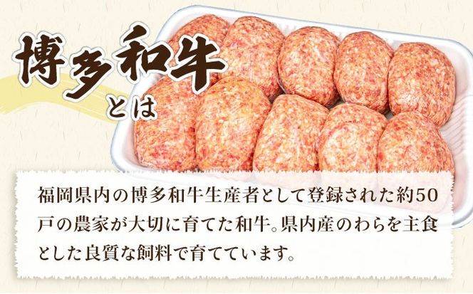 【全6回定期便】博多和牛と糸島産豚肉入り手作り生ハンバーグ130g×10個×6回 計60個 糸島ミートデリ工房 [ACA255]