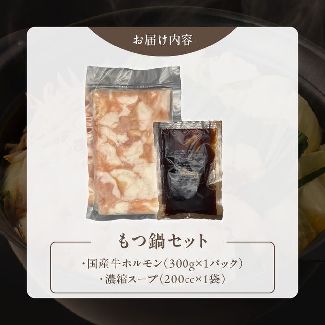 【食肉総合卸 丸正】厳選国産牛のもつ鍋セット（3人前） ［153M16］ 