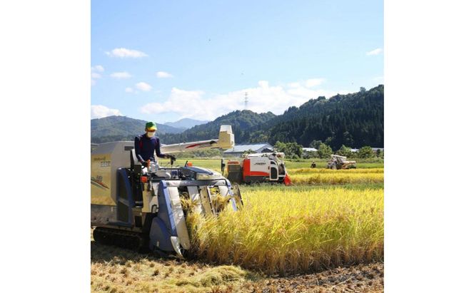 令和7年産！魚沼産コシヒカリ【農家直送!】 6kg(2kg×3袋) お米 米 コメ 