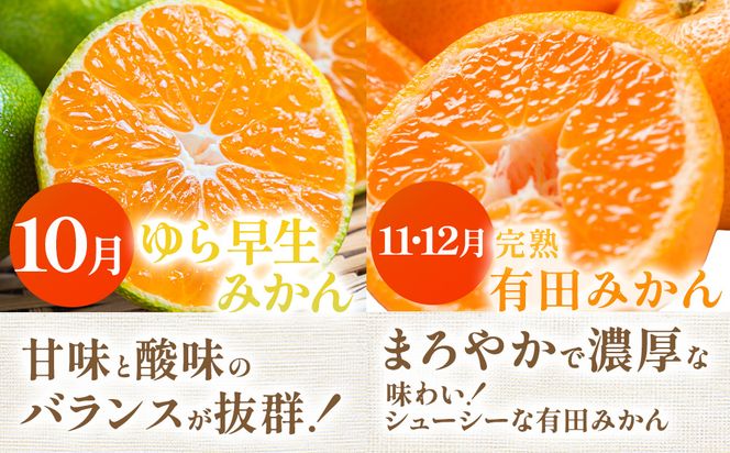 【定期便】家庭用 柑橘定期便 S 3回（4～6月）※北海道・沖縄・離島への配送不可※4月・5月・6月に発送