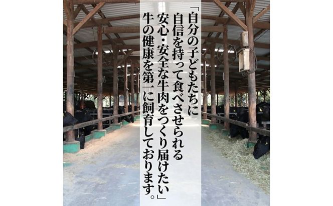 むなかた牛モモスライス500g【道の駅むなかた】_HA2093 むなかた牛 モモ もも スライス 福岡県宗像市 宗像市 福岡 宗像