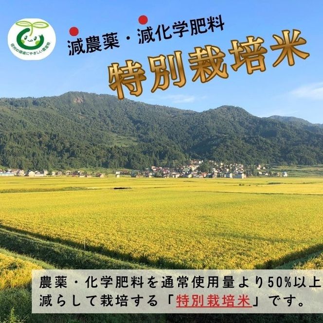 【令和8年新米予約】《定期便》＼ 2026年10月より6回 ／ 特別栽培米 「かまくらの里 コシヒカリ」 5㎏×6回 合計30kg（Cc-004-10）