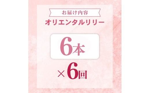 定期便6回 ユリ オリエンタルリリー 6本 花 切り花 プレゼント 贈り物 ギフト 誕生日 記念日 つぼみ 大輪 ピンク 白 香り 優雅 華麗 ブーケ フラワーアレンジメント 観賞用 インテリア 季節の花 高級感 花束 生花 福田園芸 オリエンタルハイブリッド 安芸市 高知県