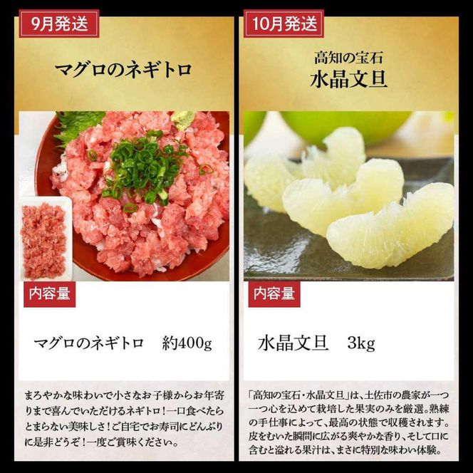 【全12回定期便】土佐市まるごと贅沢定期コース / トイレットペーパー 藁焼き うつぼ 生かつお 鰹 たたき 土佐文旦 メロン しんちゃんトマト ピーマン アイス くずバー ネギトロ かつおめし 日本酒 高知県 土佐市【土佐市】[BQCD015]