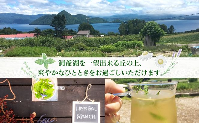 北海道 モヒート ソーダ 作り 体験 ハーブ ミント サイダー ノンアルコール ノンアル オリジナル 天然 リラックス 癒し リラクゼーション 健康 ハーバルランチ 送料無料 洞爺湖 