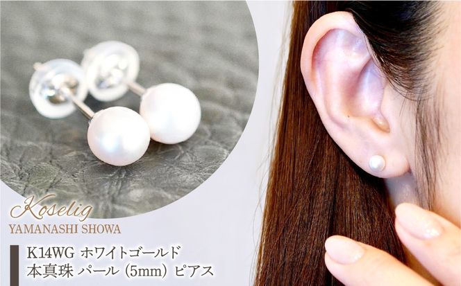 yRazK14WG zCgS[h {^ p[ (5mm) sAX ۏ؏t KO-0049 SWAD065