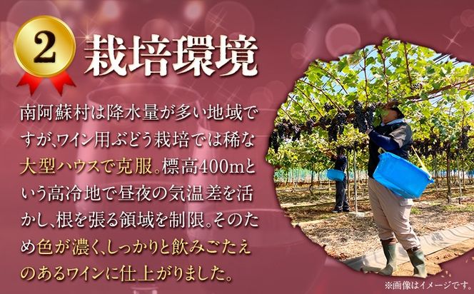 【3ヶ月定期便】南阿蘇村産ぶどう100%使用 赤ワイン RED cow 1本 750ml《お申込み月の翌月から出荷開始》熊本県 南阿蘇村 カベルネ・ソーヴィニヨン ヤマ・ソーヴィニヨン ワイン 酒 お酒 定期 計3回 お届け---sms_winecowtei_r7_37500_mo3num1---