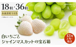 《 選べる 内容量 》【 お歳暮 熨斗付き 】 白いちご と シャインマスカット の宝石箱18粒 / 36粒 (茨城県共通返礼品：大子町) いちご マスカット 果物 フルーツ 旬 季節限定 期間限定 贈答用 ギフト 贈り物