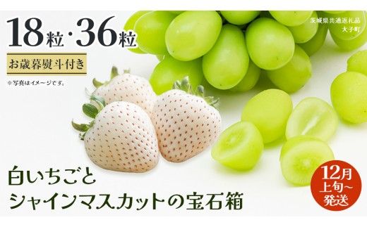 《 選べる 内容量 》【 お歳暮 熨斗付き 】 白いちご と シャインマスカット の宝石箱18粒 / 36粒 (茨城県共通返礼品：大子町) いちご マスカット 果物 フルーツ 旬 季節限定 期間限定 贈答用 ギフト 贈り物
