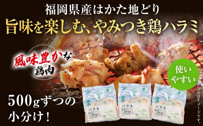 【ふるさと納税】はかた地どり ハラミ 1.5kg 500g×3パック 小分け 福岡県産 地鶏 鶏肉 冷凍 国産 はらみ とり肉 希少部位 チキン 炒め物 鉄板焼き 塩焼き 串焼き 焼き鳥 おつまみ 家飲み おうちごはん お取り寄せ グルメ ギフト