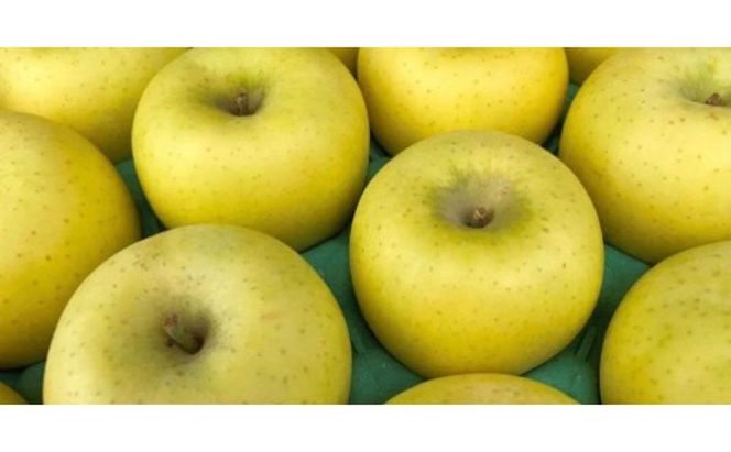 りんご しなのゴールド5kg スマートフレッシュ加工