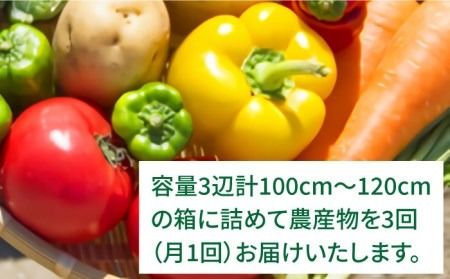 【 全3回 定期便 】 福岡県 糸島産 旬 の 野菜 盛り合わせ セット 《糸島》【株式会社フロンティア・アドバンス】[AWC007] 旬 季節 野菜 詰め合わせ セット 糸島野菜 直売所 定期便