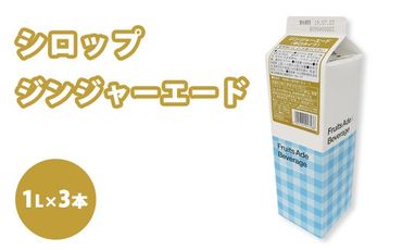 シロップ ジンジャーエード（辛口タイプ） スミダ飲料 1000ml （1L） ×3本　※離島への配送不可