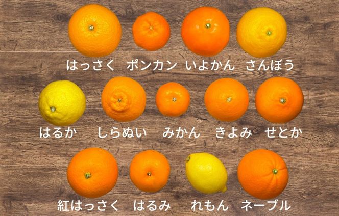 旬の柑橘食べ比べ 柑橘ごろごろ 3種 箱込 2.5kg(内容量 2.3kg) 秀品 優品 混合 和歌山県産 産地直送 【おまけ付き】【みかんの会】 AX150